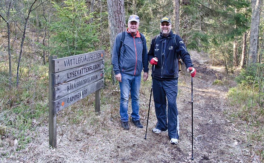 Mot-Dammekärr