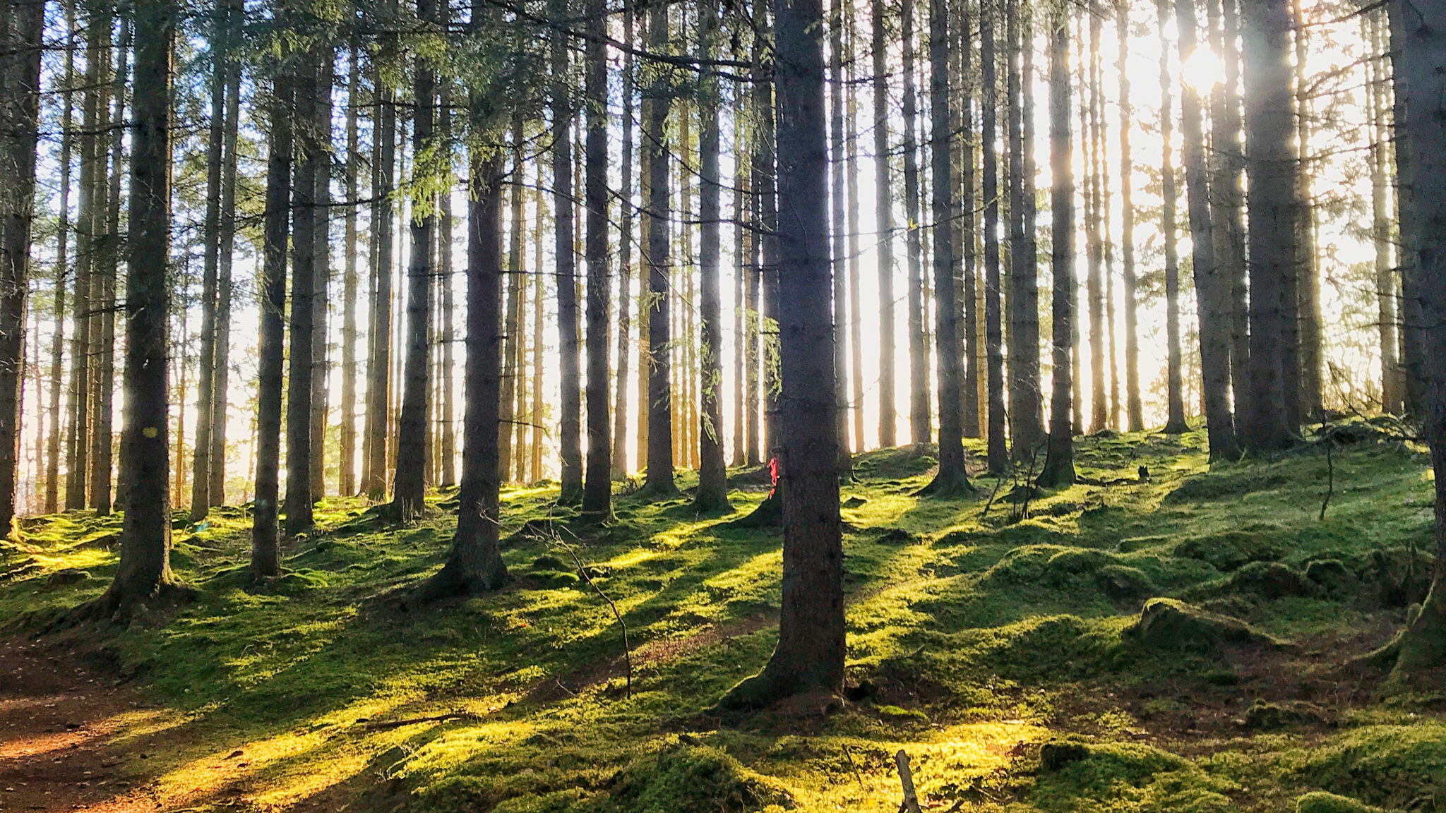 Utby - Trollhättan